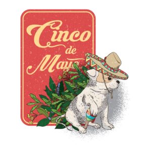Cinco de Mayo - Dog, Sombrero & Maracas